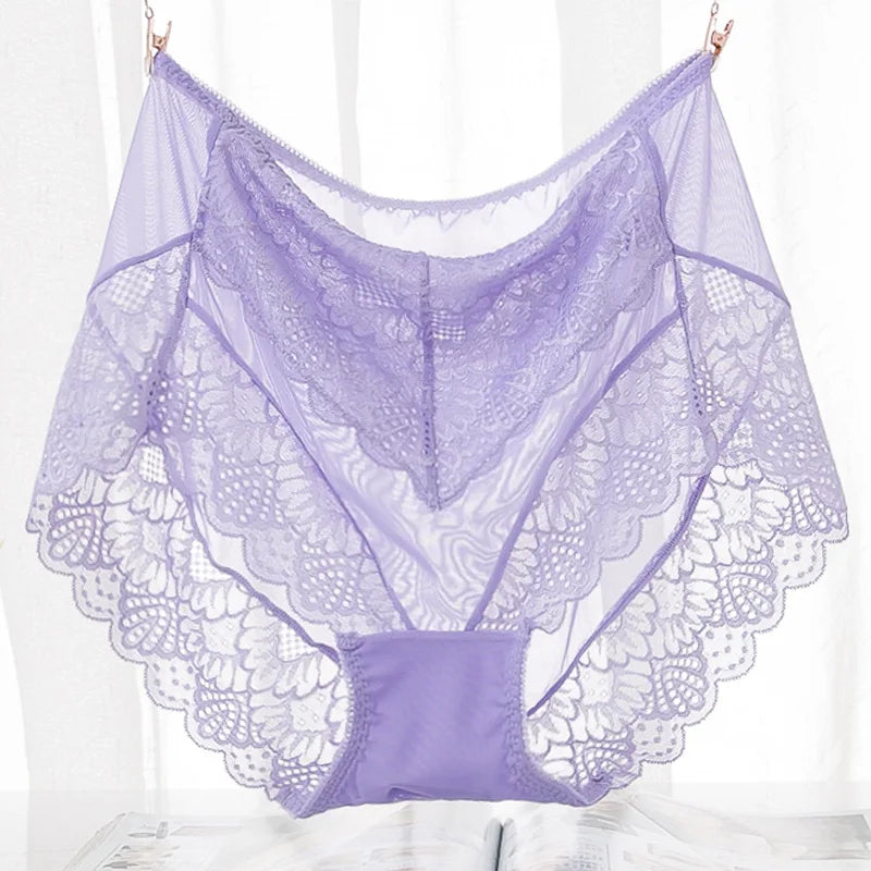 Our Women's Sexy Lace Full Transparent Mesh Panties Extra Large Size Womens Plus Size Panties See Through Panties Panties Women
