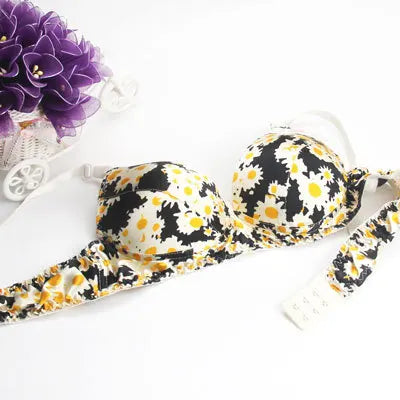 Our luxury Hot-Selling Mulberry silk bra underwear double faced silk print bra