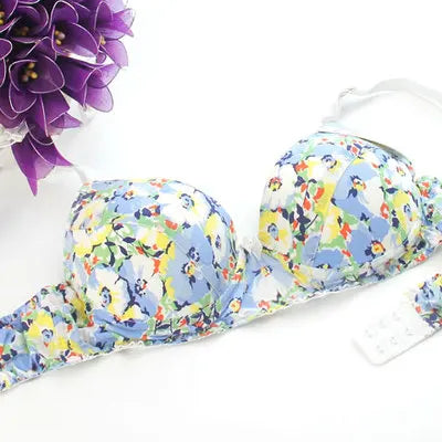 Our luxury Hot-Selling Mulberry silk bra underwear double faced silk print bra